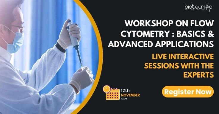 Advanced Applications: Testing, Development, and Online Privacy Harden Digital Defenses